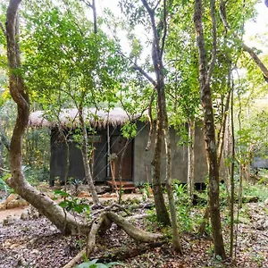  Сasa de vacaciones Ojo De Agua. Design+pool. Vive La Autentica Selva!